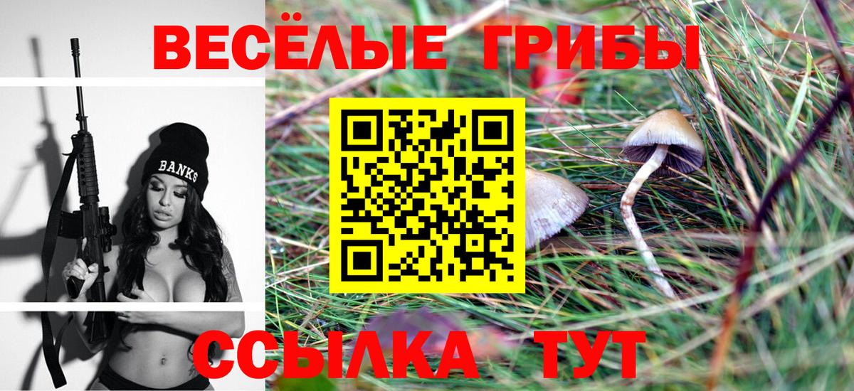 Псилоцибиновые грибы Psilocybine cubensis  Вход с VPN  Партизанск 