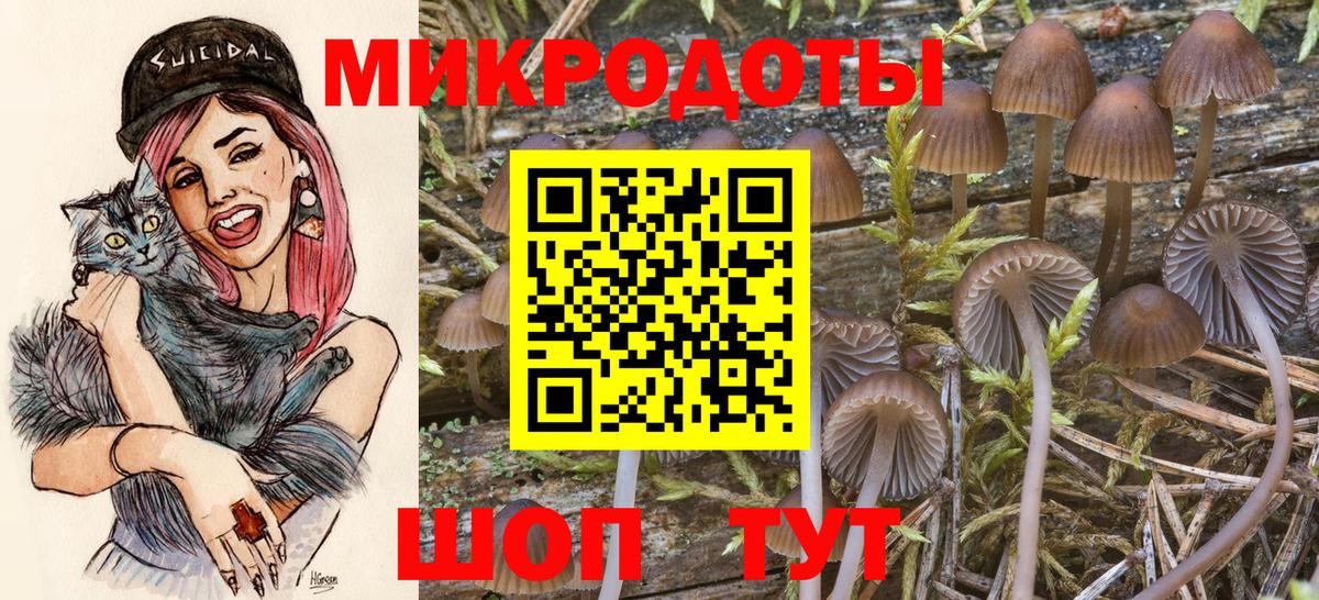 Галлюциногенные грибы Magic Shrooms Партизанск