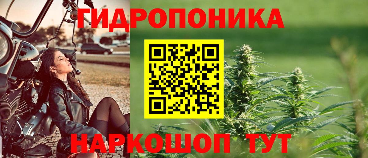 Партизанск  Бошки марихуана сатива  Шишки марихуана конопля  Конопля LSD WEED  Вход с VPN 
